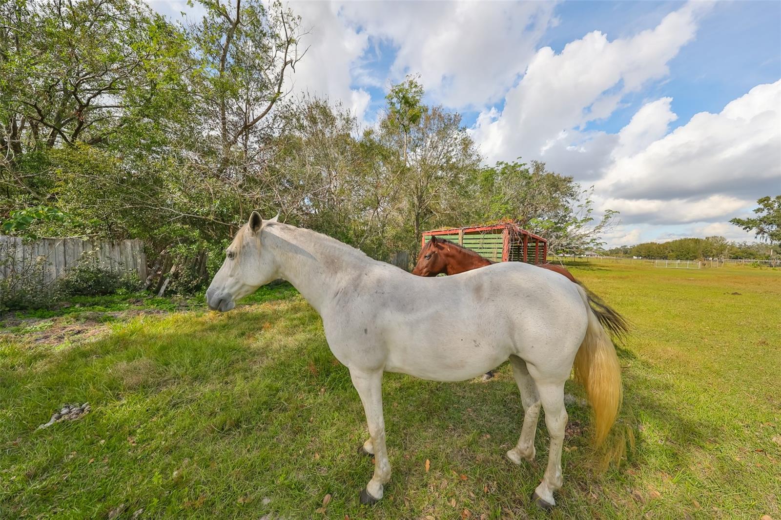 15624 CARLTON LAKE RD, WIMAUMA, FL, 33598