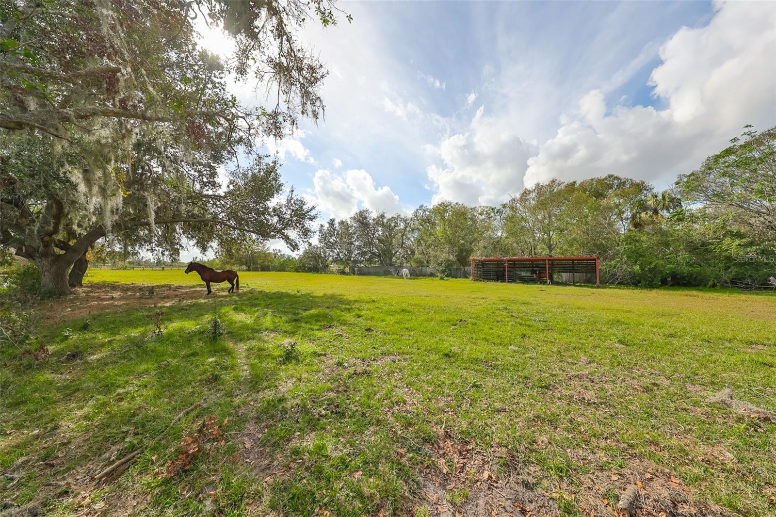 15624 CARLTON LAKE RD, WIMAUMA, FL, 33598