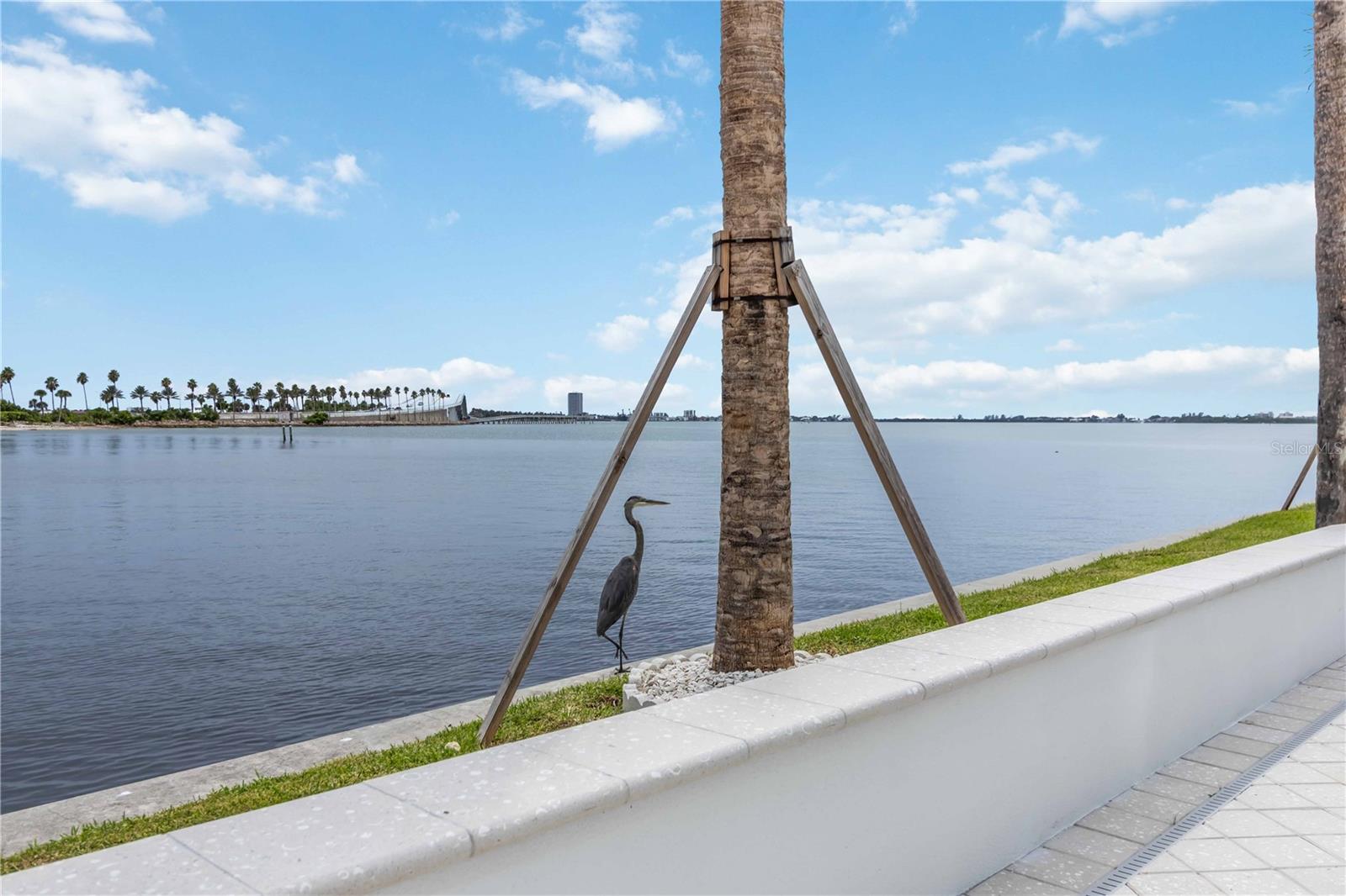 888 BLVD OF THE ARTS #1701, SARASOTA, FL, 34236