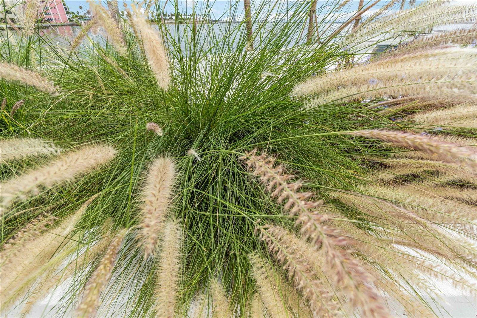 888 BLVD OF THE ARTS #1701, SARASOTA, FL, 34236