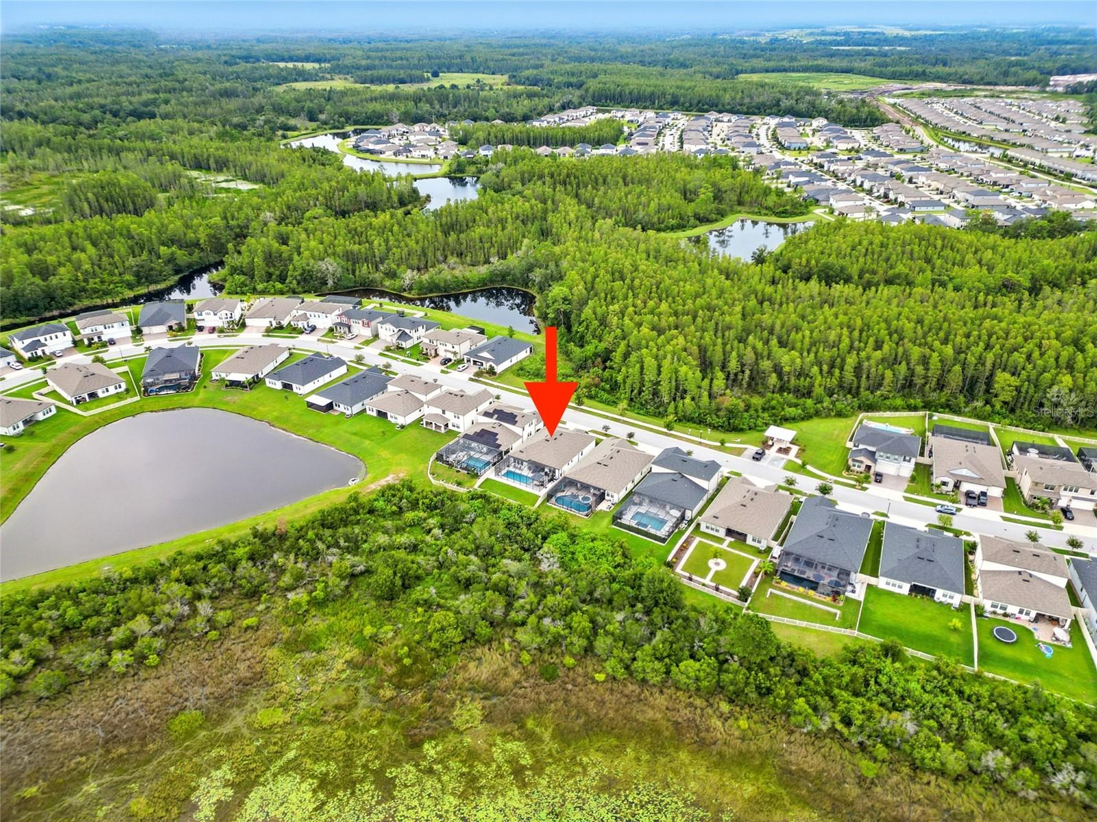 21554 SNOWY ORCHID TER, LAND O LAKES, FL, 34637