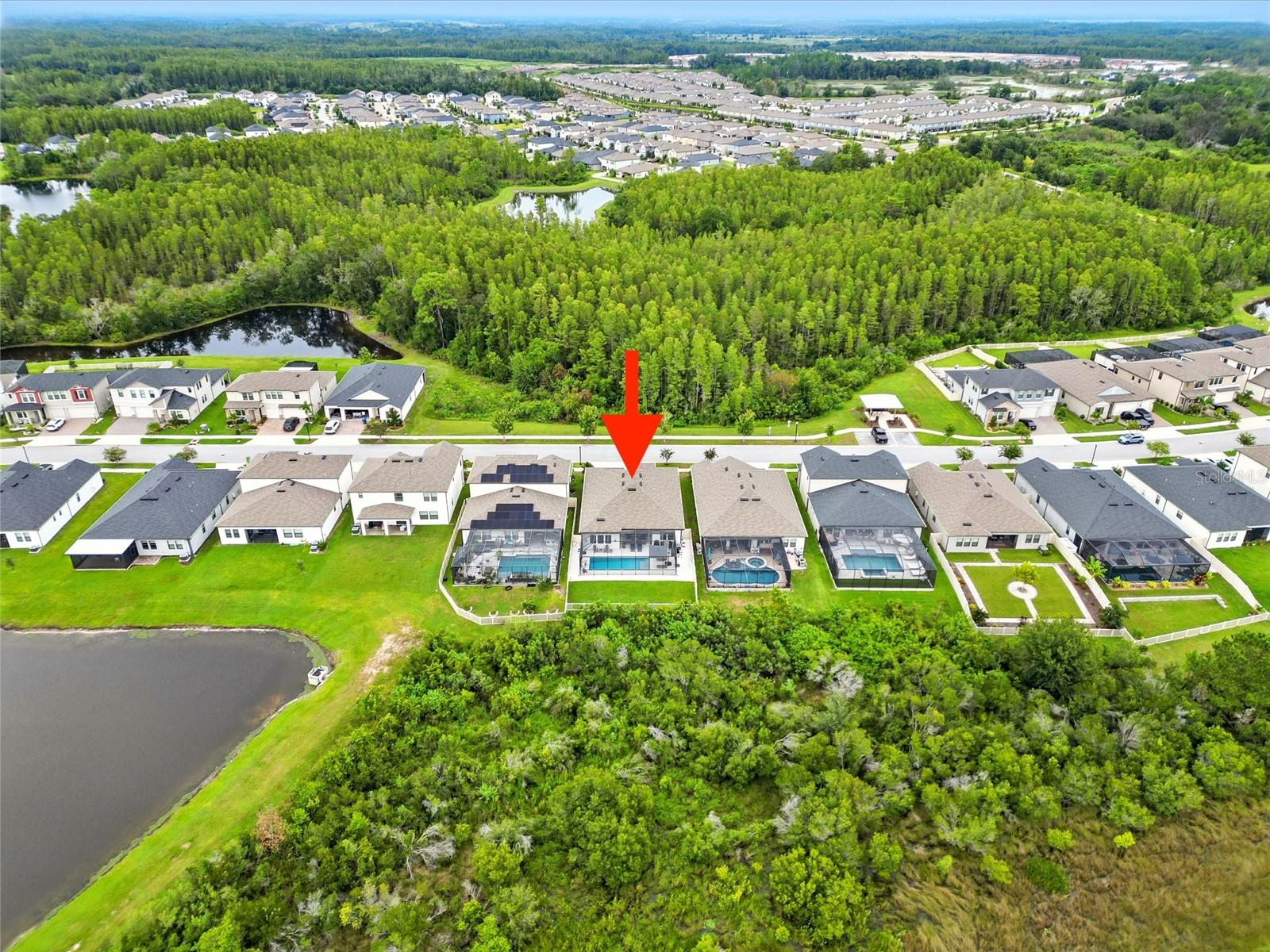 21554 SNOWY ORCHID TER, LAND O LAKES, FL, 34637