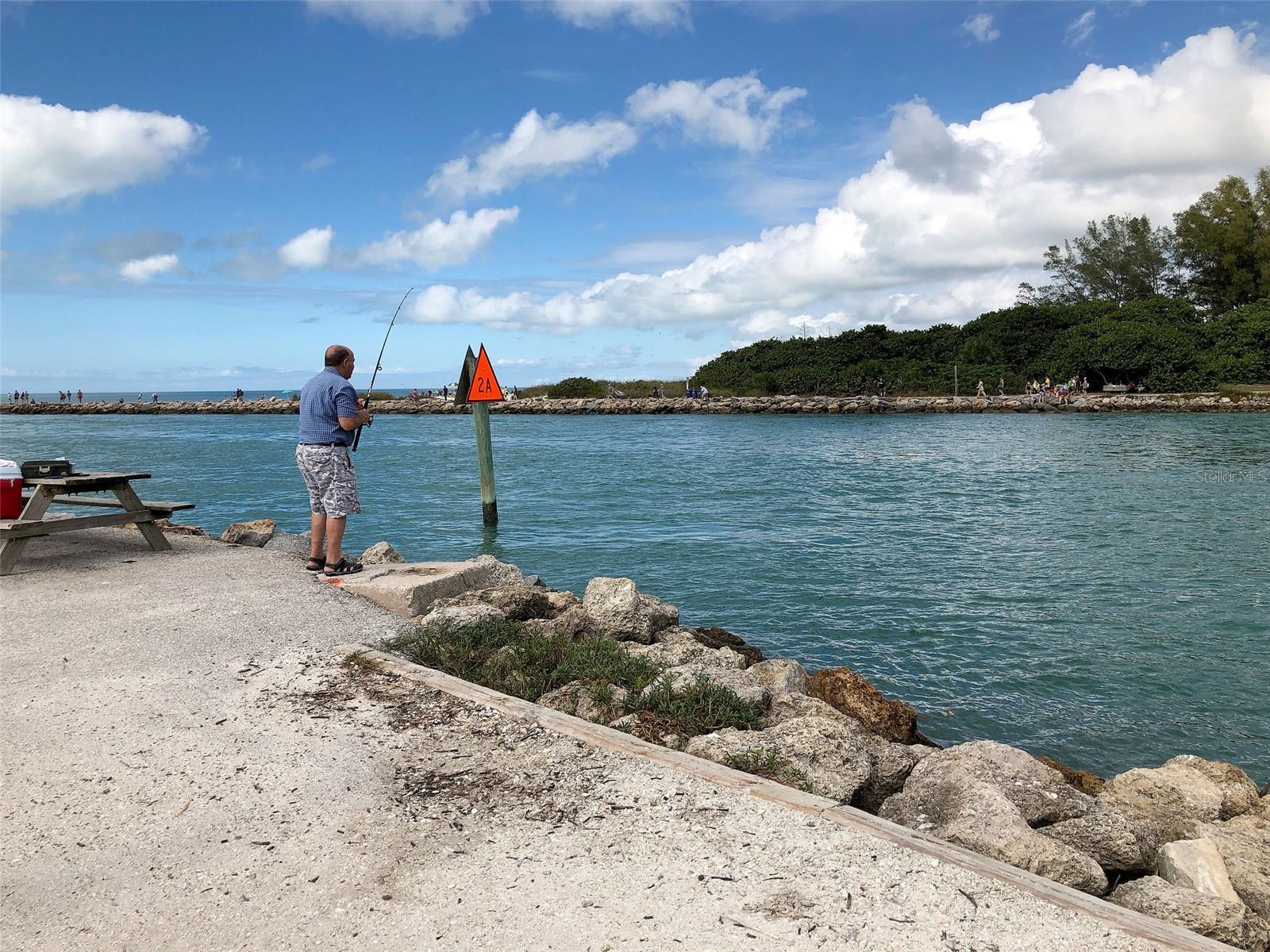 141 ALTESINO CT, VENICE, FL, 34292