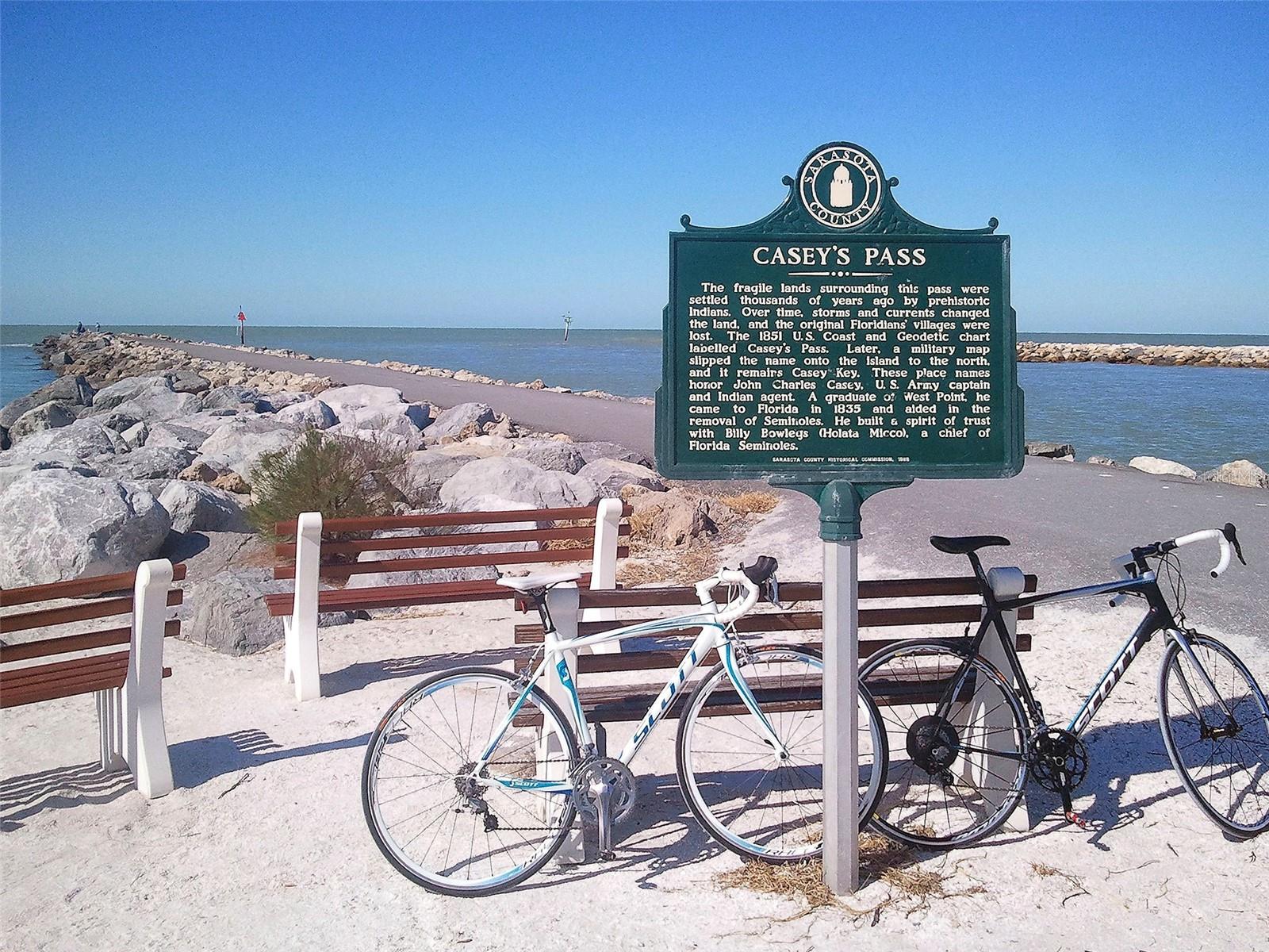 141 ALTESINO CT, VENICE, FL, 34292