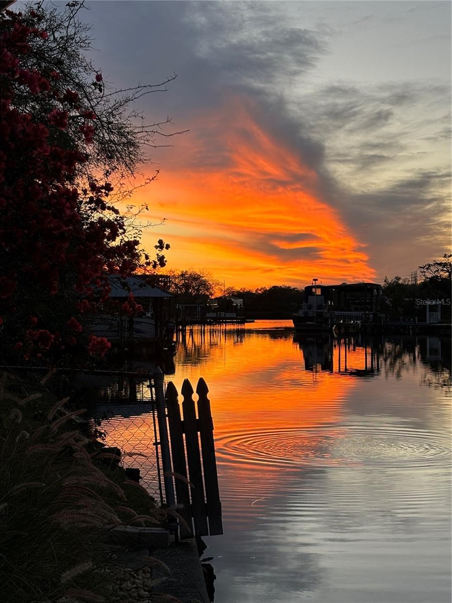 9308 RIVER COVE DR, RIVERVIEW, FL, 33578