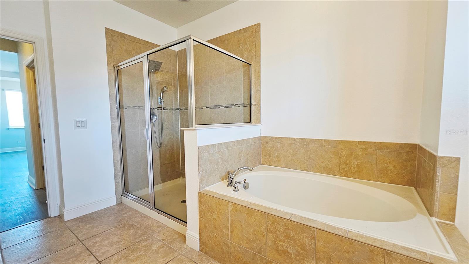 11630 BRICKYARD POND LN, WINDERMERE, FL, 34786