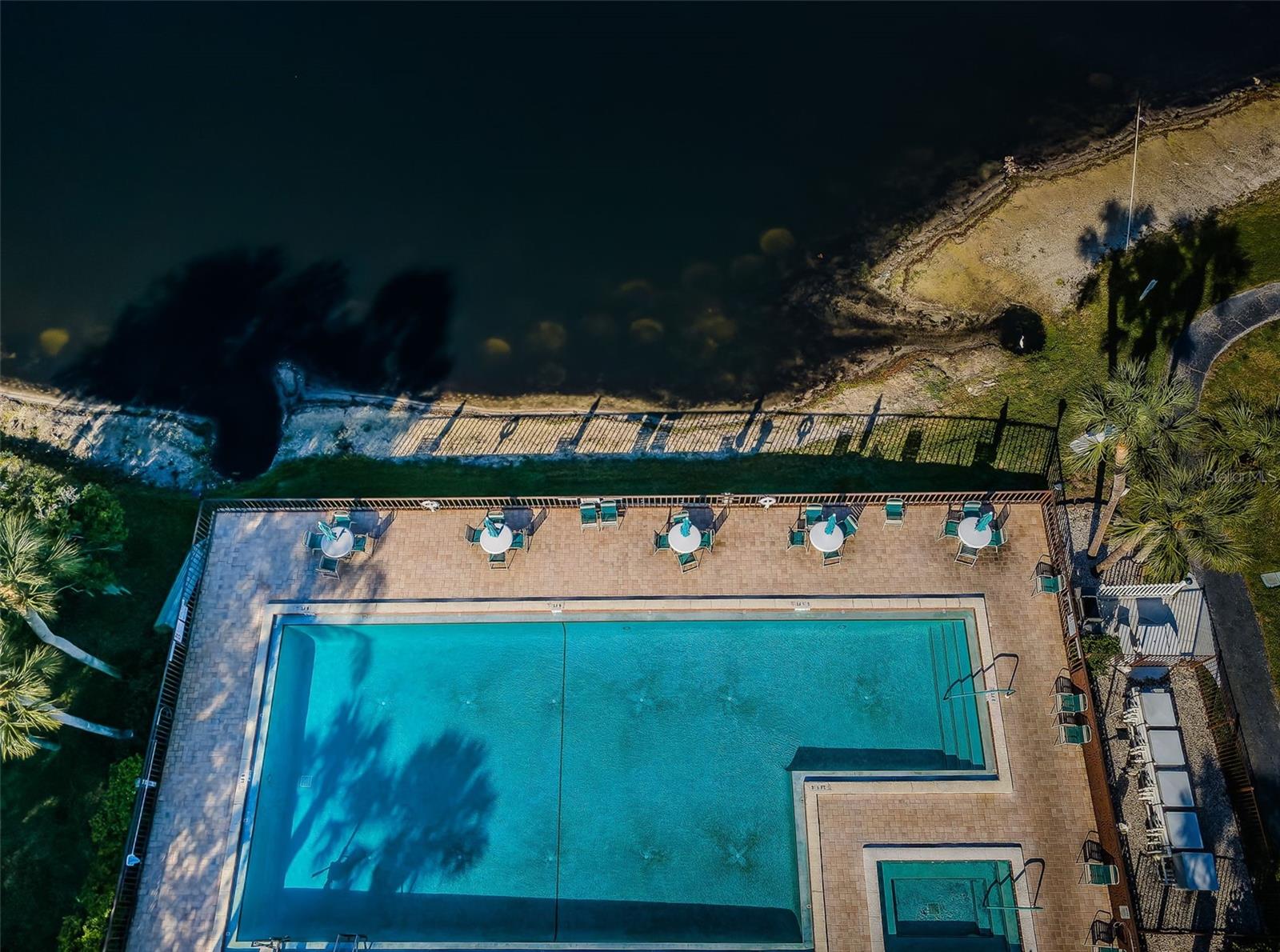 2642 PINE RIDGE WAY S #D2, PALM HARBOR, FL, 34684