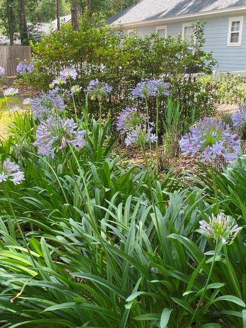 245 SW 132ND TER, NEWBERRY, FL, 32669