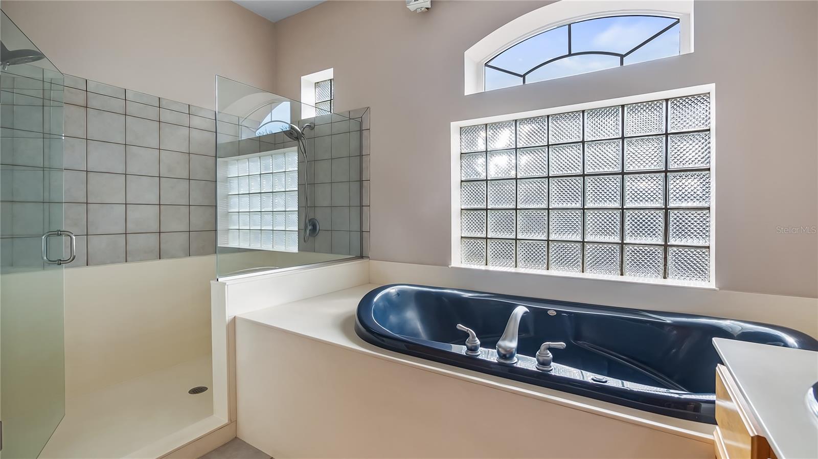 11203 CROOKED RIVER CT, CLERMONT, FL, 34711