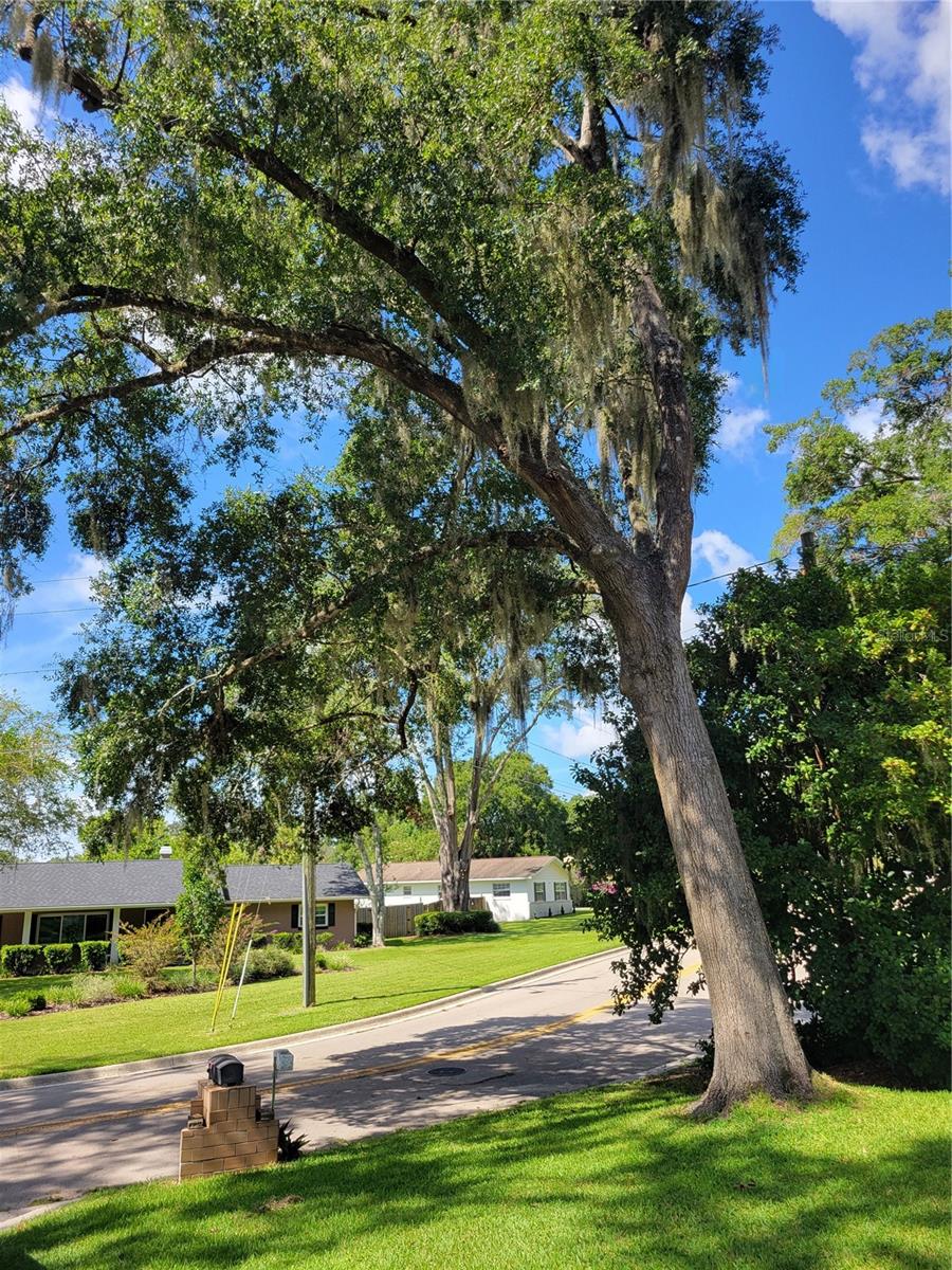 4315 SE 10TH PL, OCALA, FL, 34471