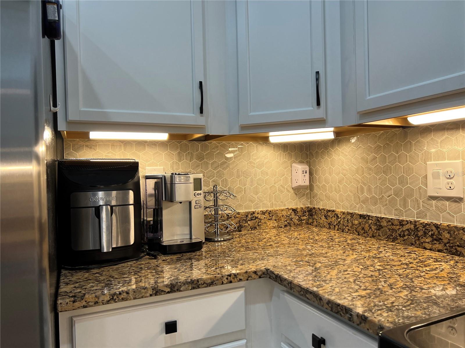 20377 BENISSIMO DR, VENICE, FL, 34293