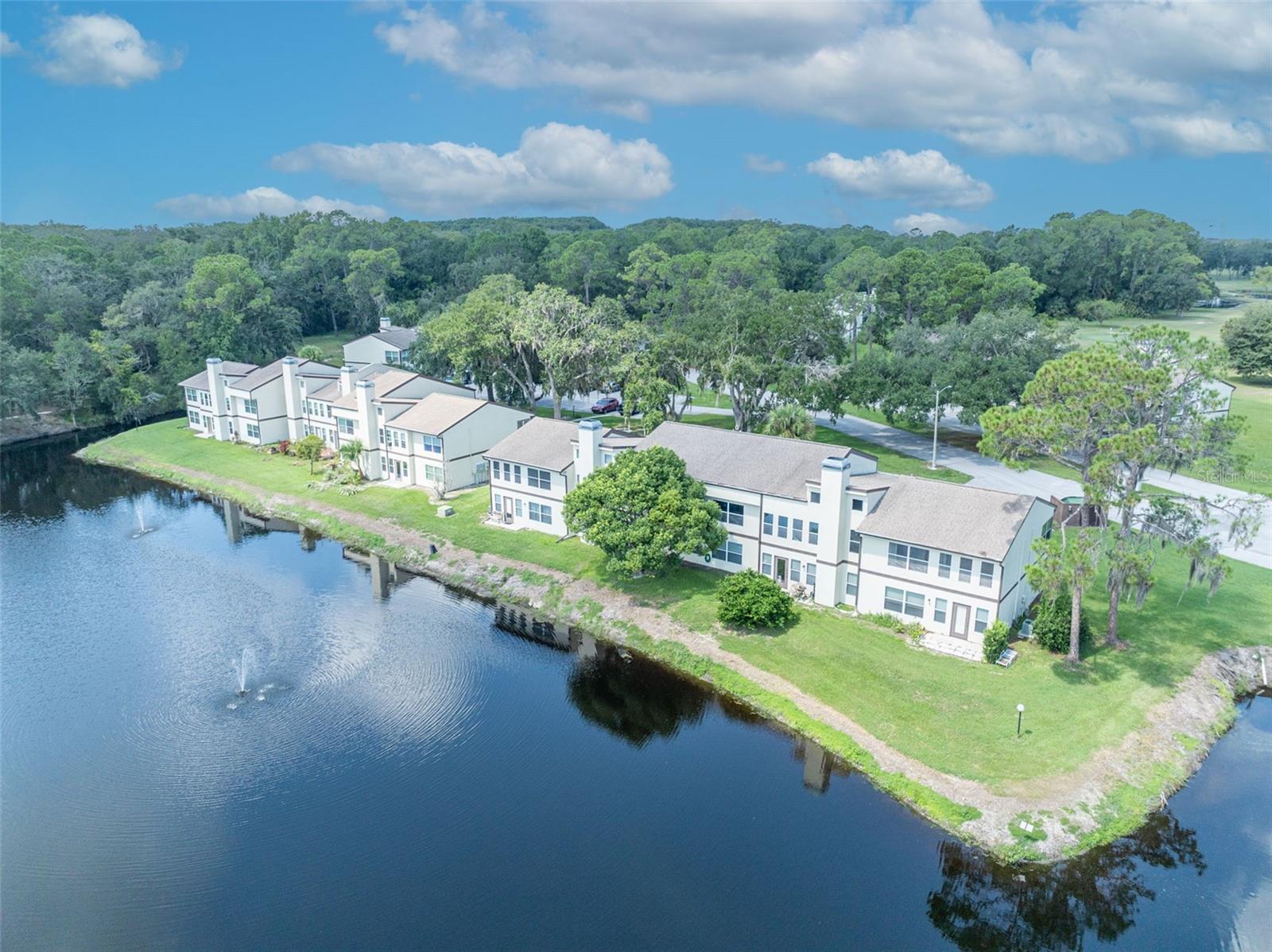 19201 SANDALWOOD DR #19201, WILDWOOD, FL, 34785