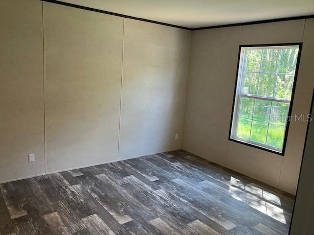 6119 MANGROVE DR, WESLEY CHAPEL, FL, 33544