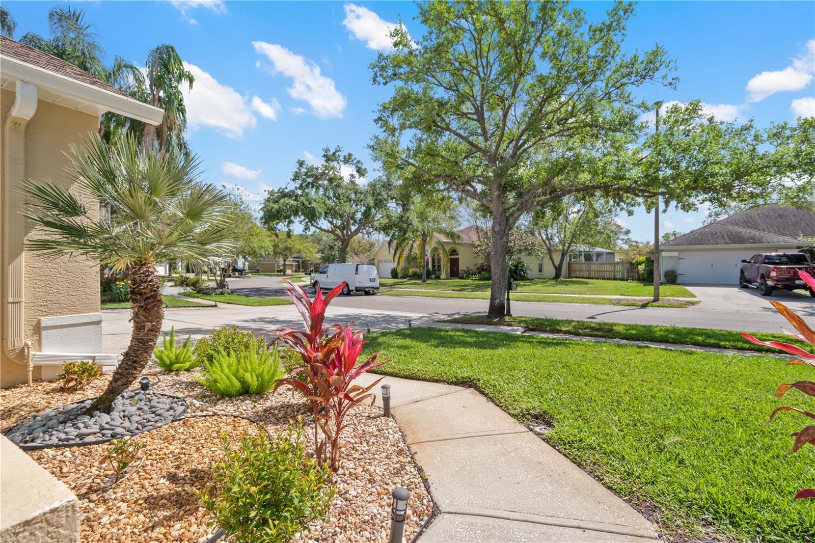 9905 WOODBAY DR DR, TAMPA, FL, 33626