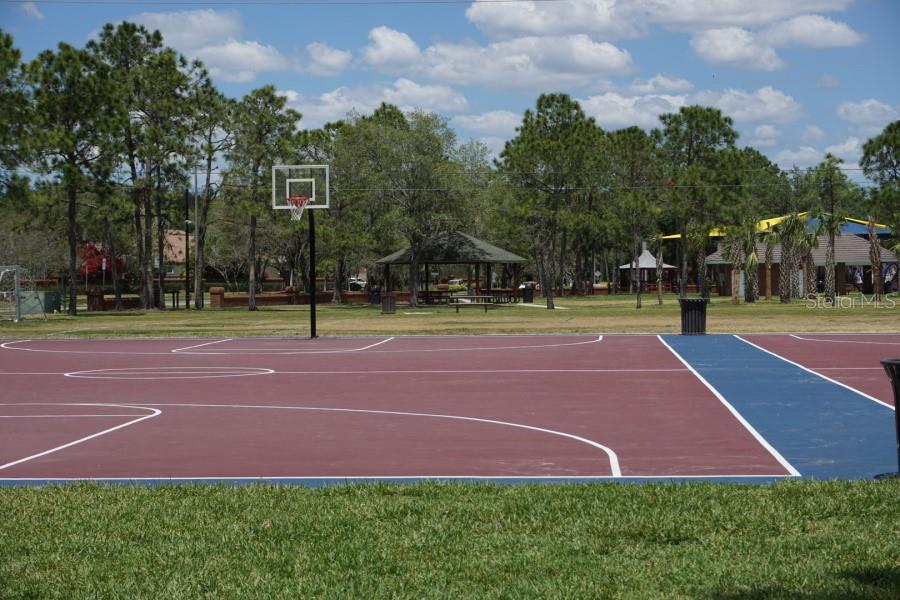 9905 WOODBAY DR DR, TAMPA, FL, 33626