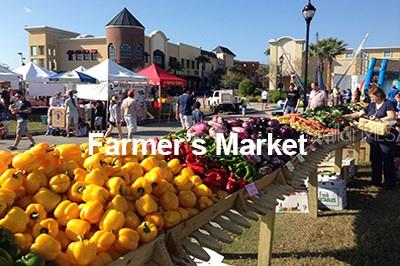 9905 WOODBAY DR DR, TAMPA, FL, 33626