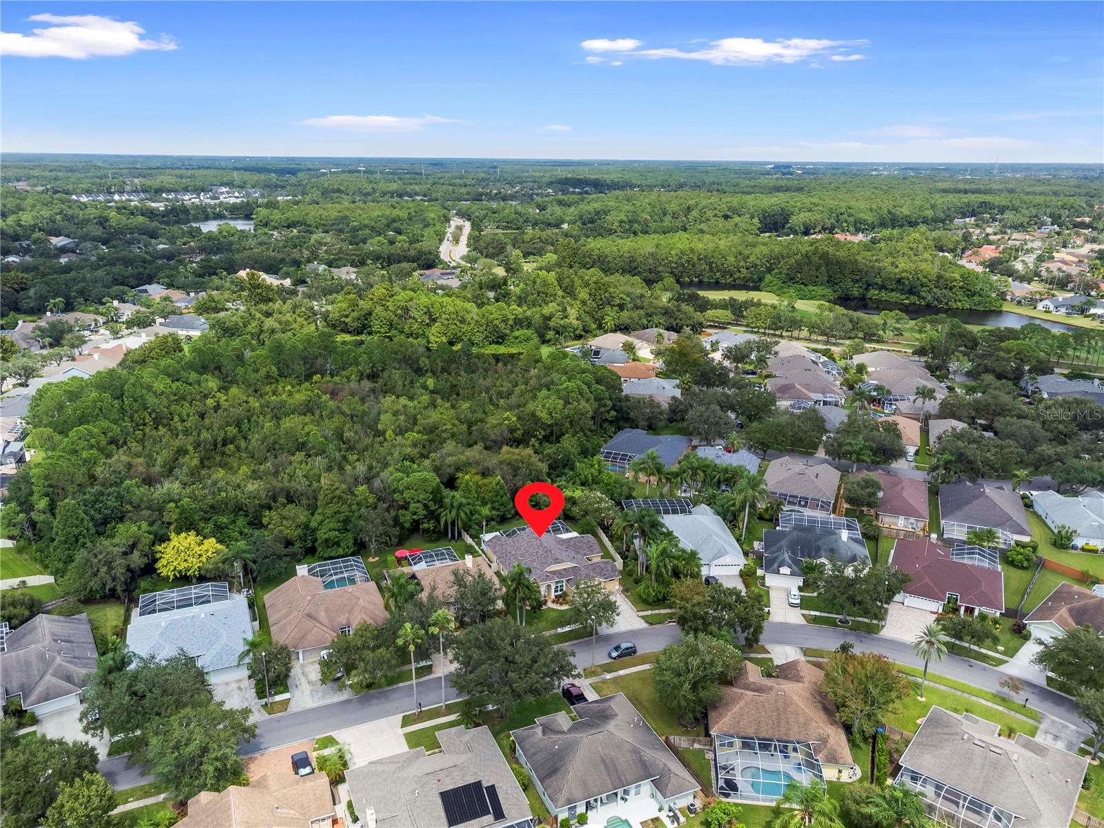 9905 WOODBAY DR DR, TAMPA, FL, 33626