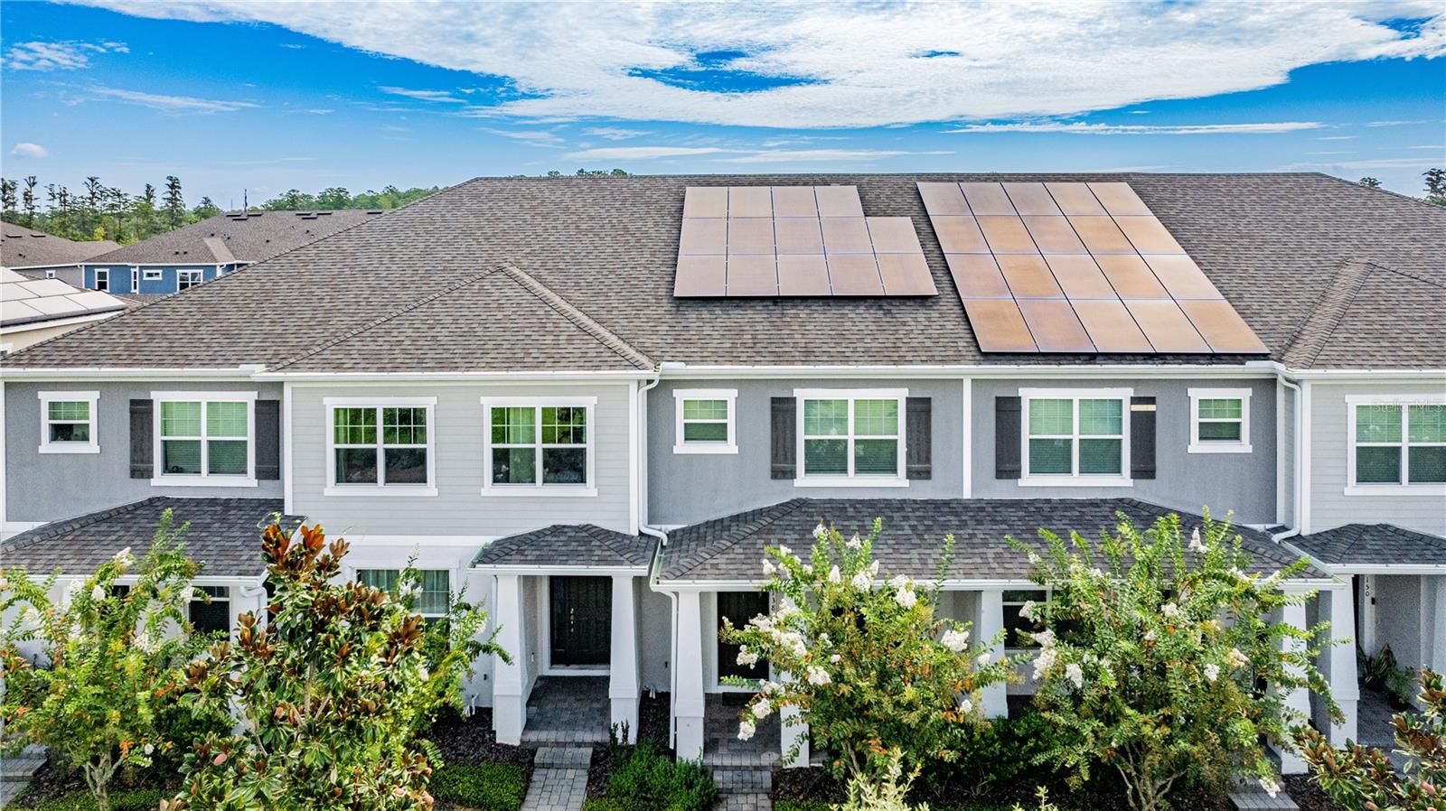 11138 HANLON TERRACE ALY, WINTER GARDEN, FL, 34787