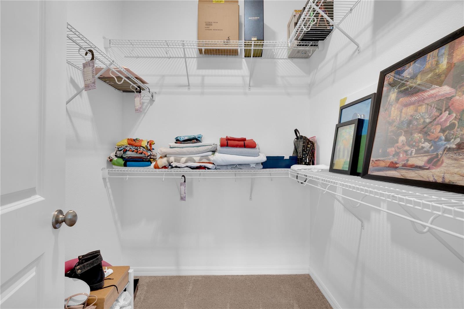 11138 HANLON TERRACE ALY, WINTER GARDEN, FL, 34787