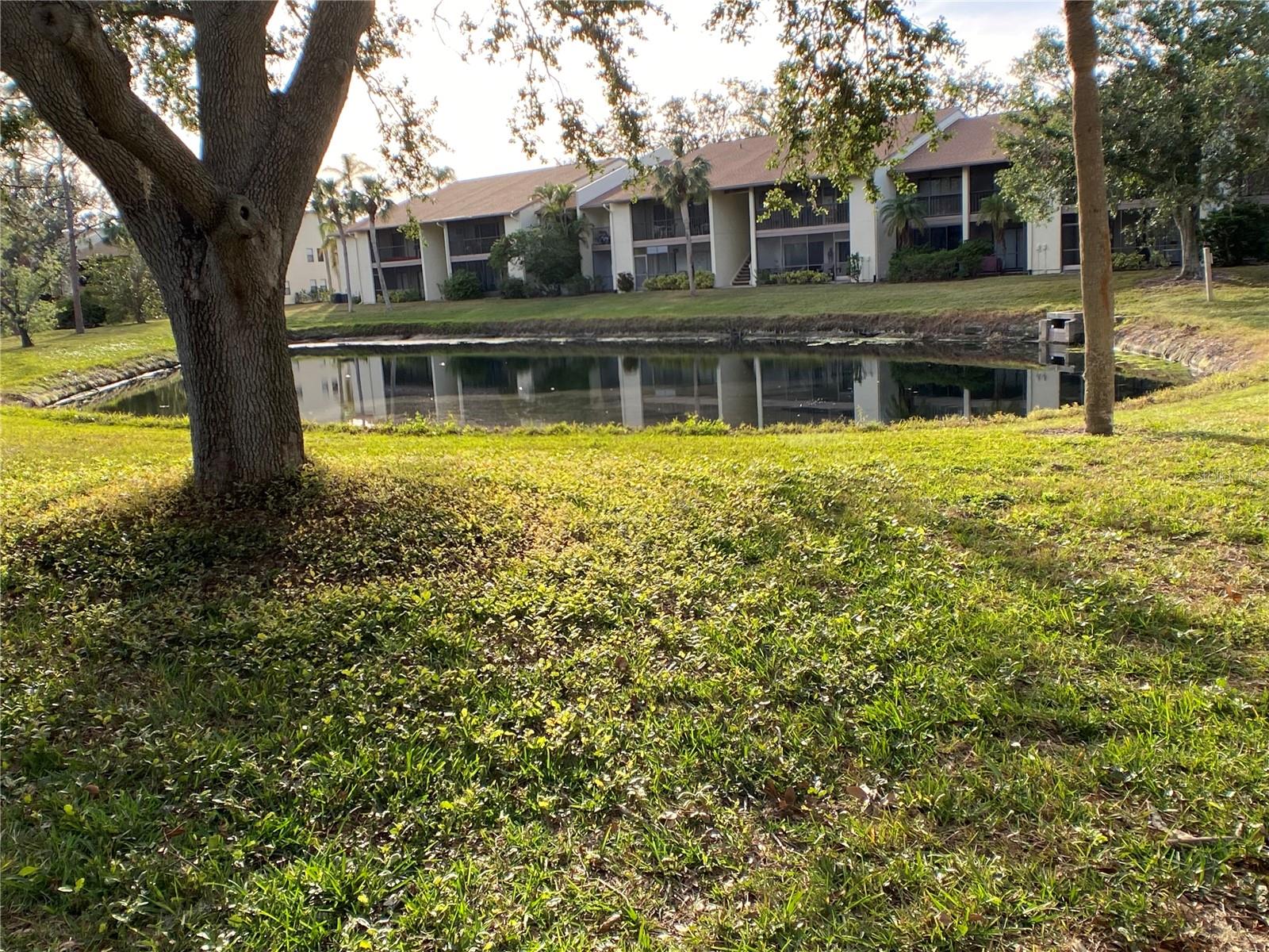 654 BIRD BAY DR E #106, VENICE, FL, 34285