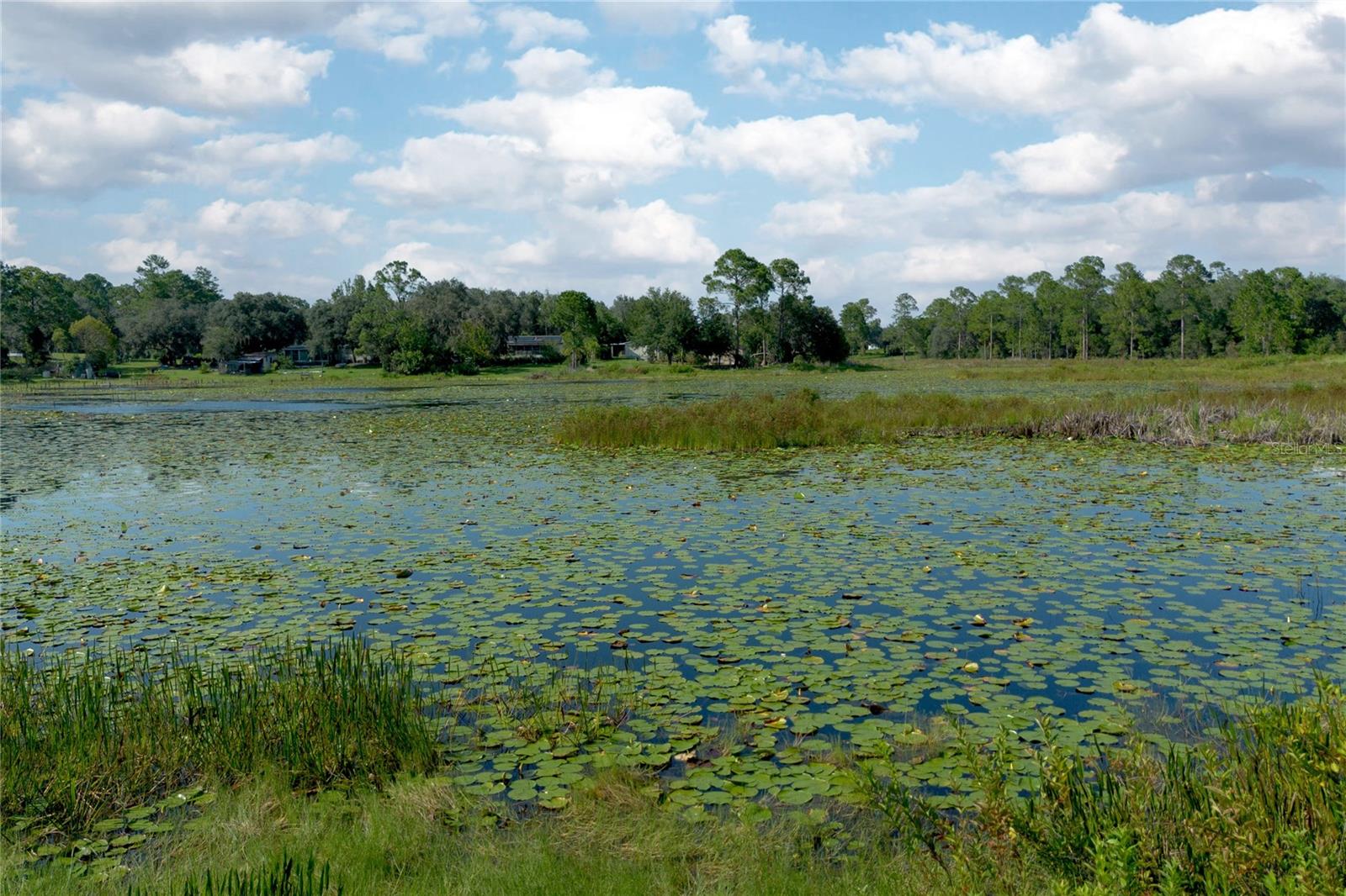 V4944676 Property Photo