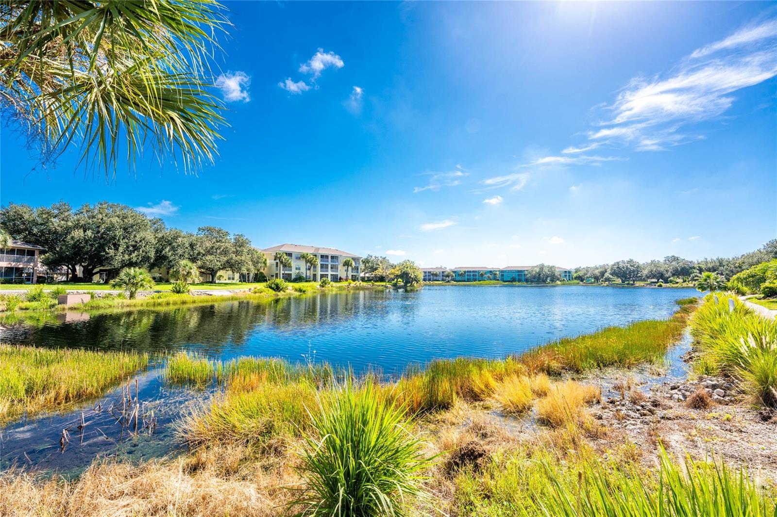 1091 LIVE OAK CIR #102, PORT CHARLOTTE, FL, 33948
