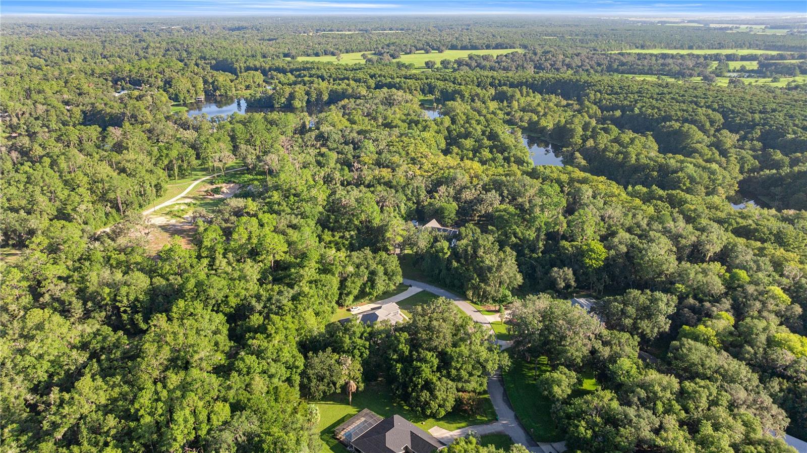 11250 N BLACKFOOT PT, CITRUS SPRINGS, FL, 34434