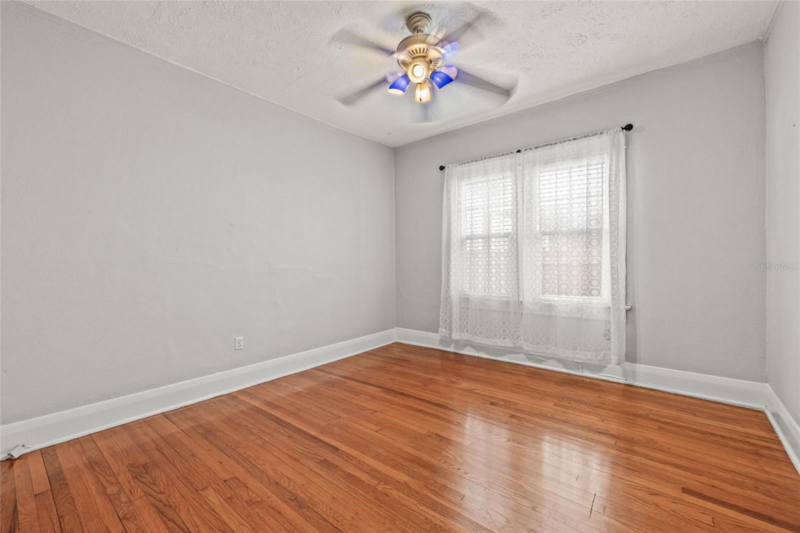 2434 W PROSPECT RD, TAMPA, FL, 33629