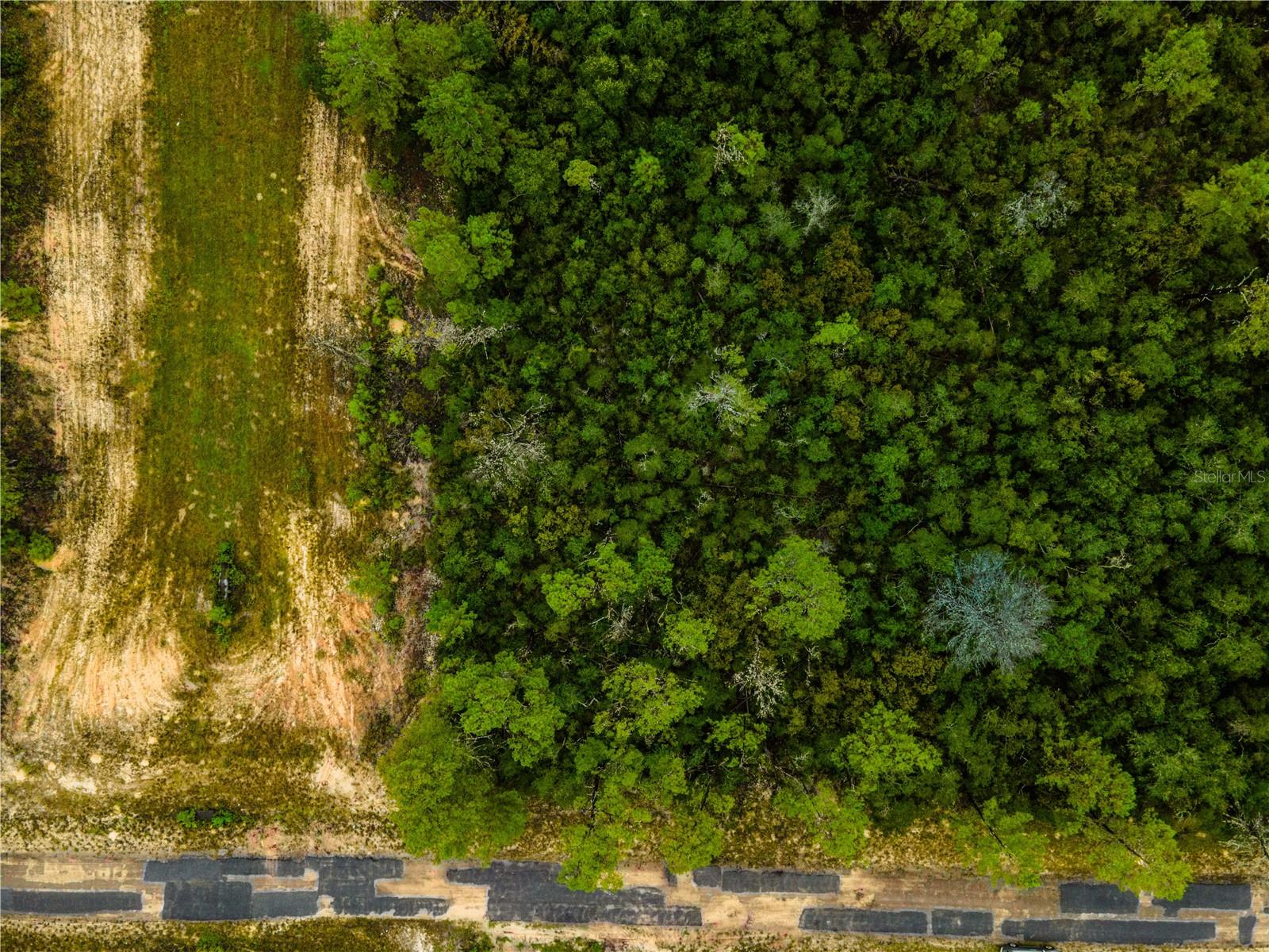 8109 N WAYSIDE AVE, DUNNELLON, FL, 34433