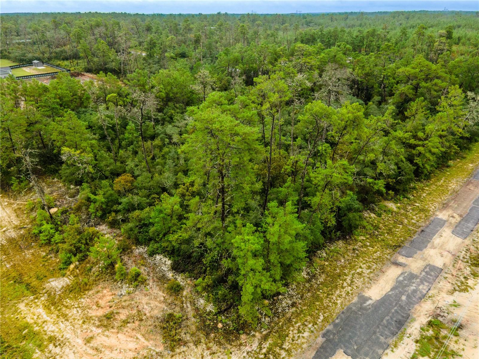 8109 N WAYSIDE AVE, DUNNELLON, FL, 34433