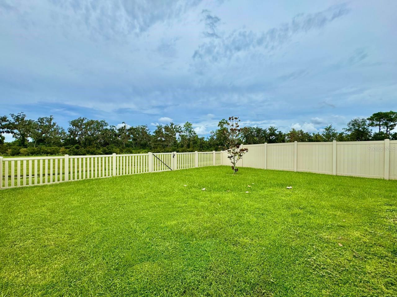 16942 TRITE BEND ST, WIMAUMA, FL, 33598