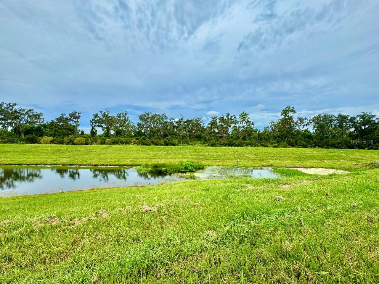 16942 TRITE BEND ST, WIMAUMA, FL, 33598