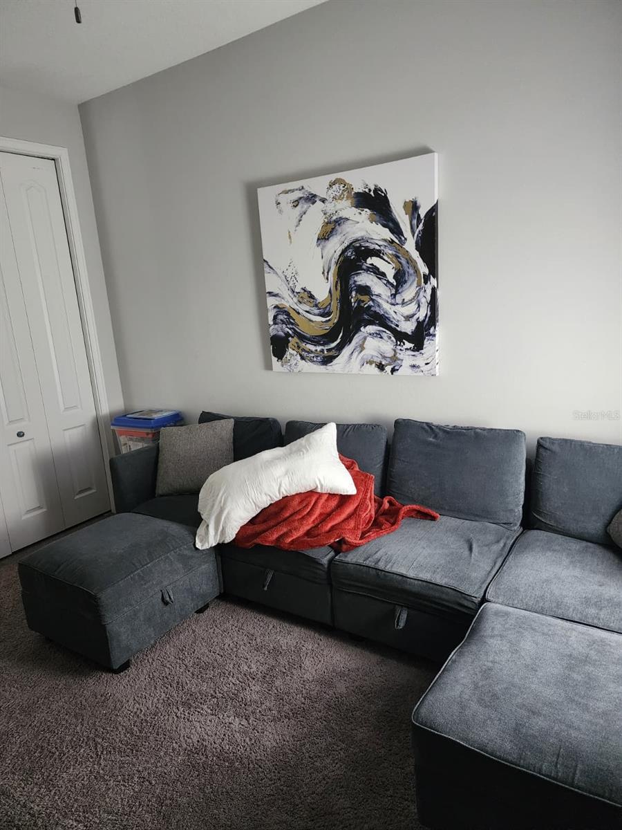 3920 TEABERRY LN, SUN CITY CENTER, FL, 33573