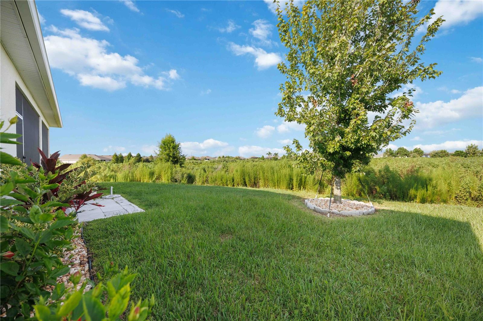 3637 MOSSY LIMB CT, PALMETTO, FL, 34221