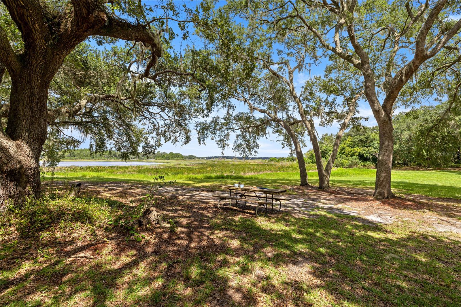 11990 SE 112TH AVENUE RD, BELLEVIEW, FL, 34420