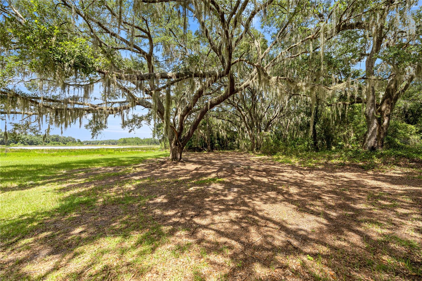 11990 SE 112TH AVENUE RD, BELLEVIEW, FL, 34420