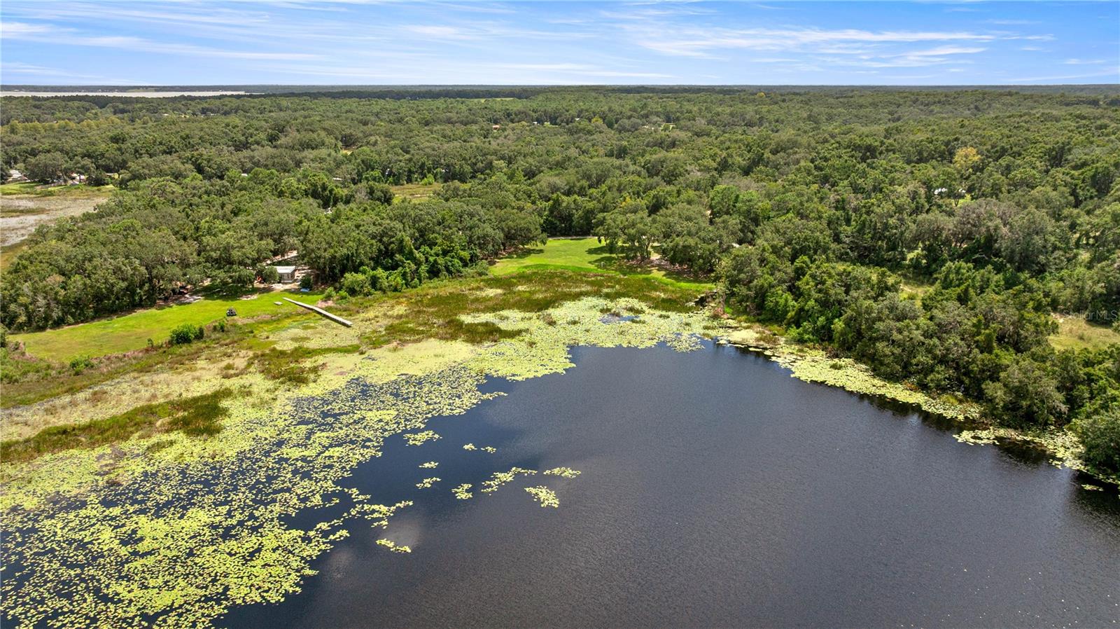 11990 SE 112TH AVENUE RD, BELLEVIEW, FL, 34420