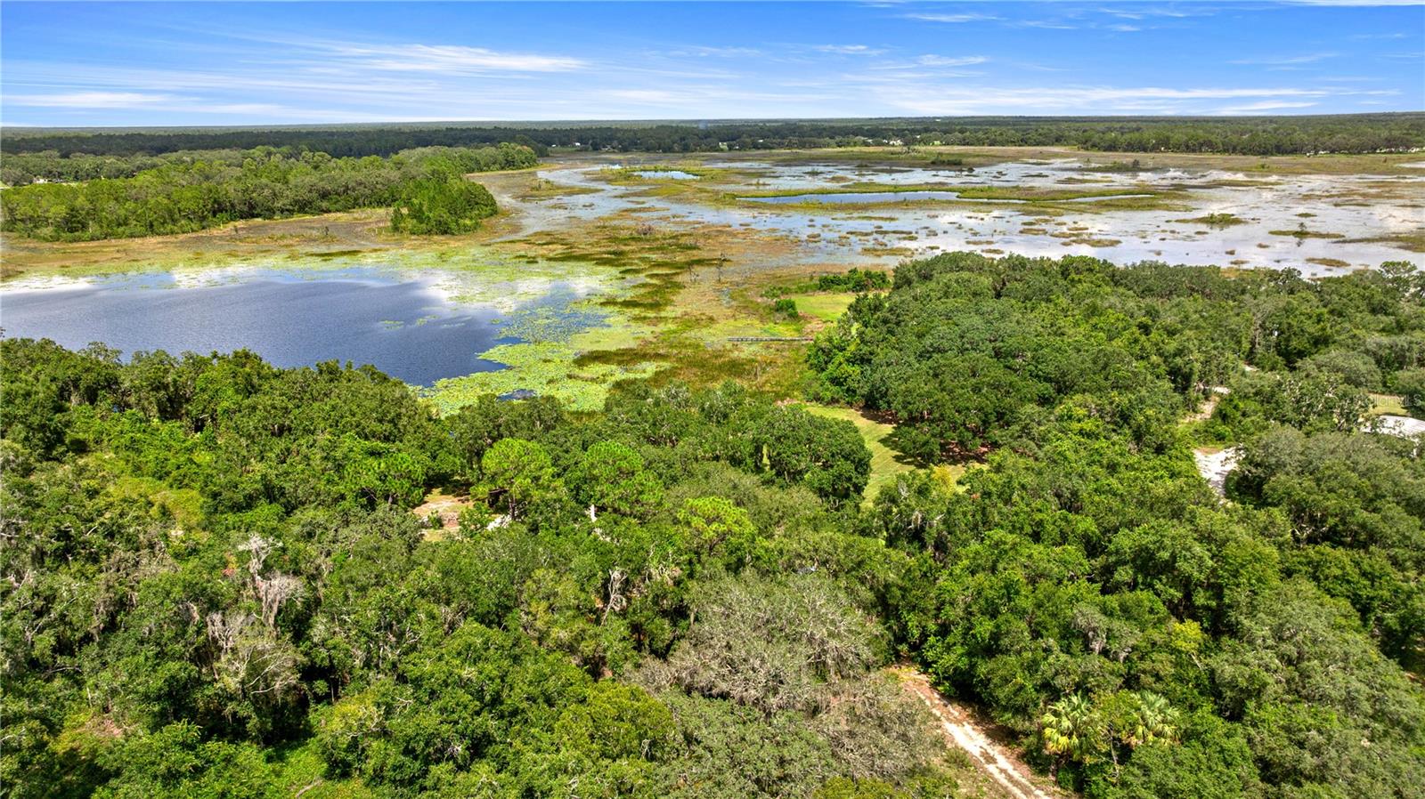 11990 SE 112TH AVENUE RD, BELLEVIEW, FL, 34420