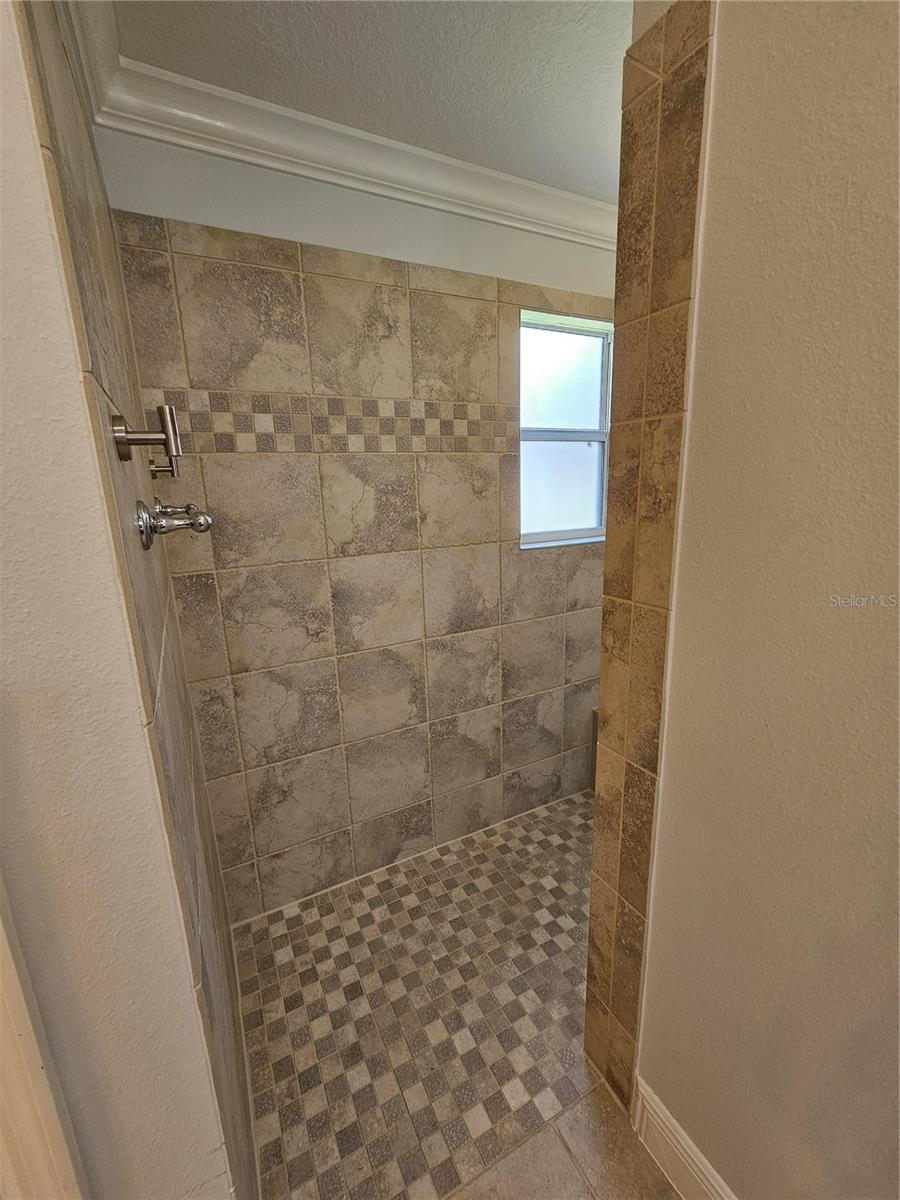 508 LITTLE RIVER PATH, THE VILLAGES, FL, 32162