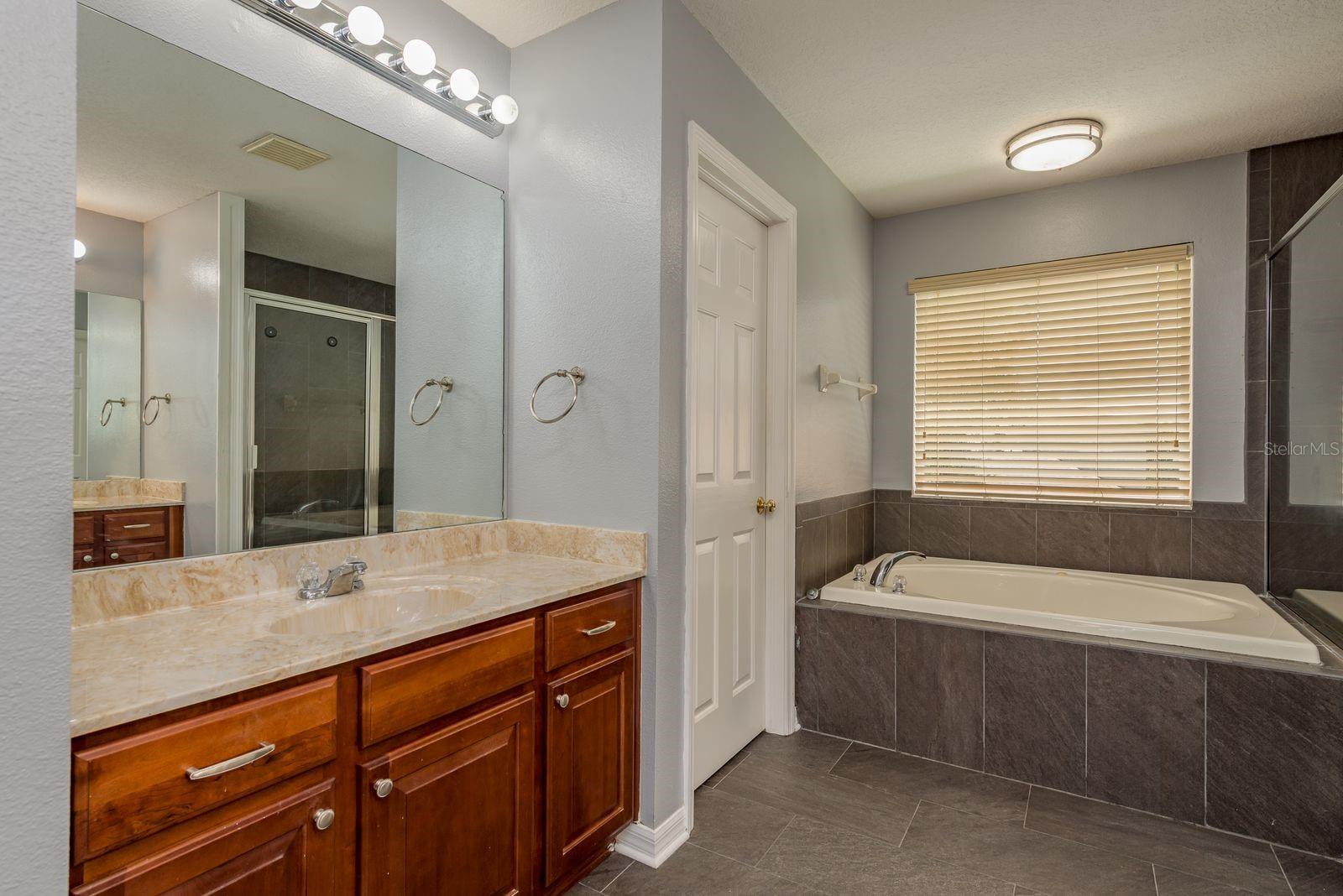 30544 LATOURETTE DR, WESLEY CHAPEL, FL, 33545