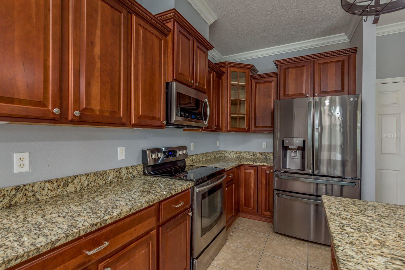 30544 LATOURETTE DR, WESLEY CHAPEL, FL, 33545