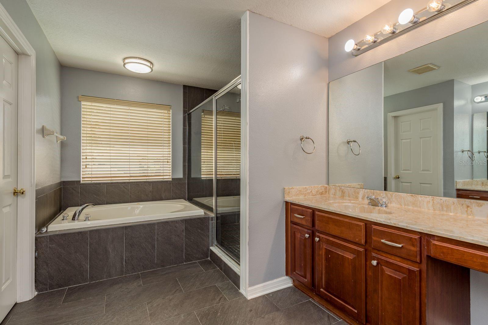 30544 LATOURETTE DR, WESLEY CHAPEL, FL, 33545