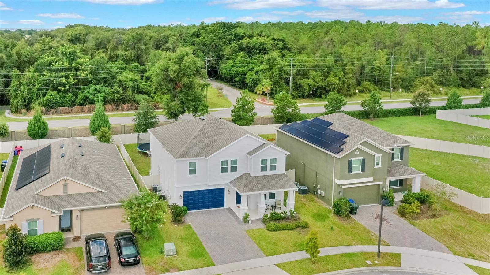 1855 BLACK MAPLE PL, OCOEE, FL, 34761