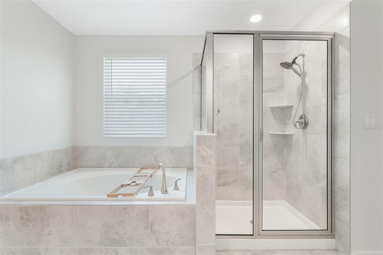 1855 BLACK MAPLE PL, OCOEE, FL, 34761