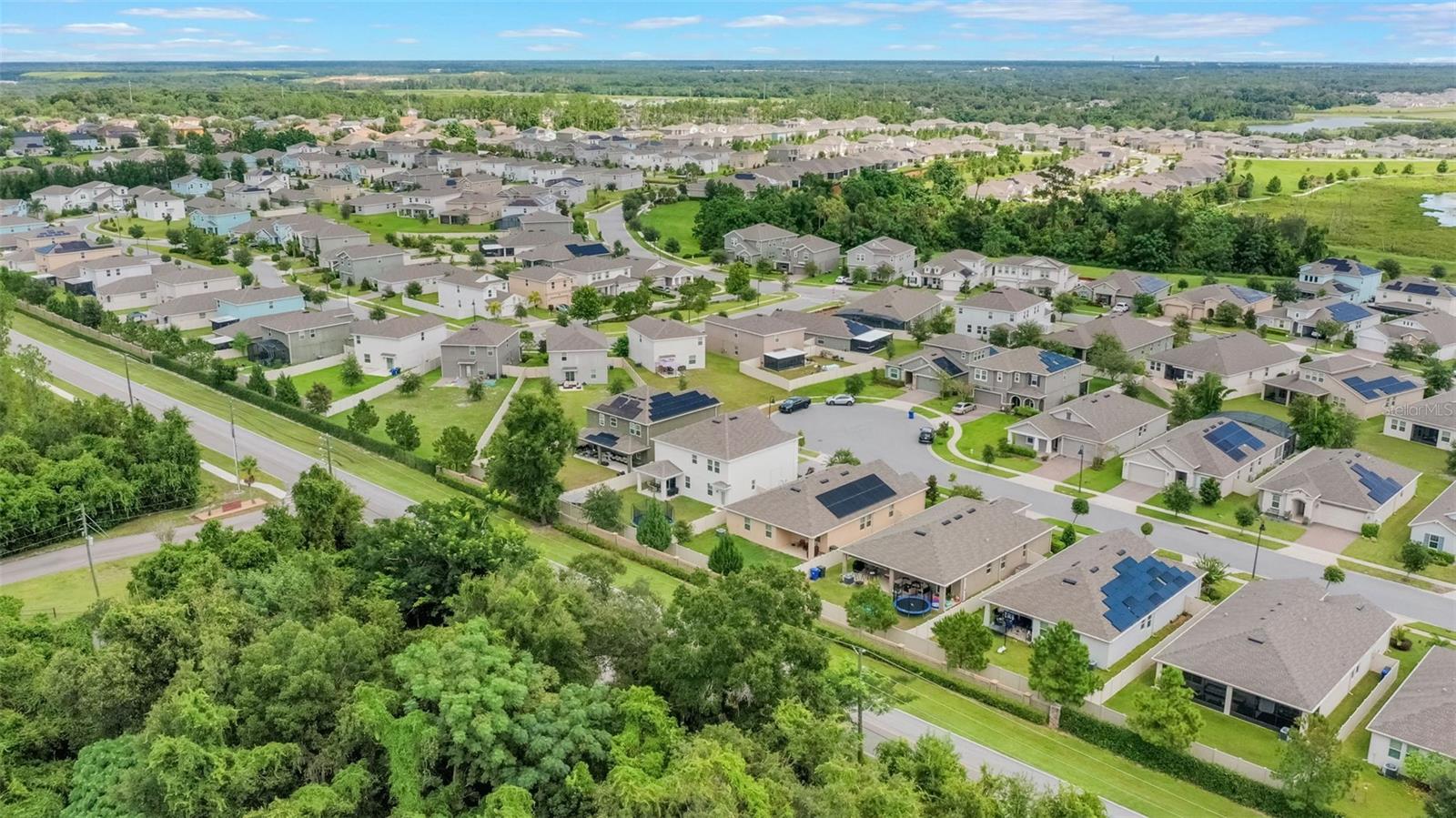 1855 BLACK MAPLE PL, OCOEE, FL, 34761