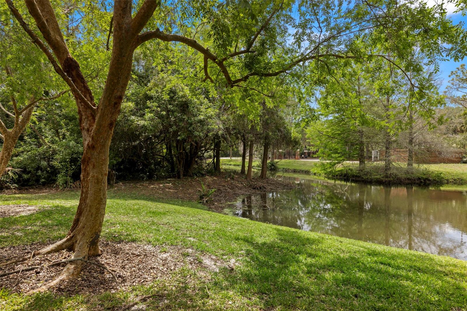 10455 GREEN LINKS DR, TAMPA, FL, 33626