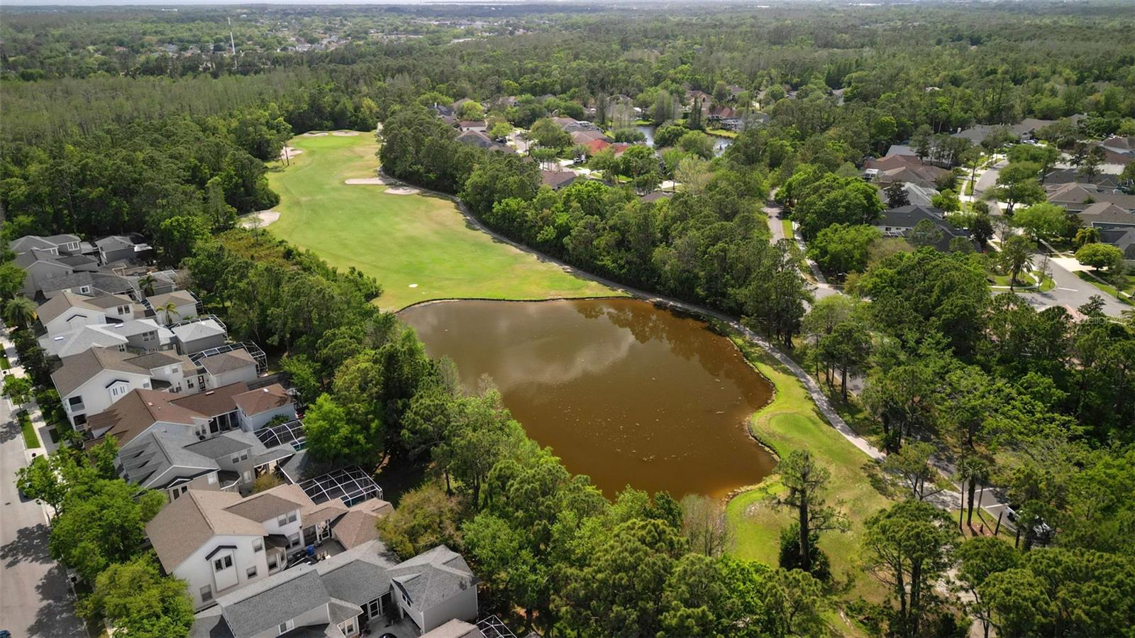 10455 GREEN LINKS DR, TAMPA, FL, 33626