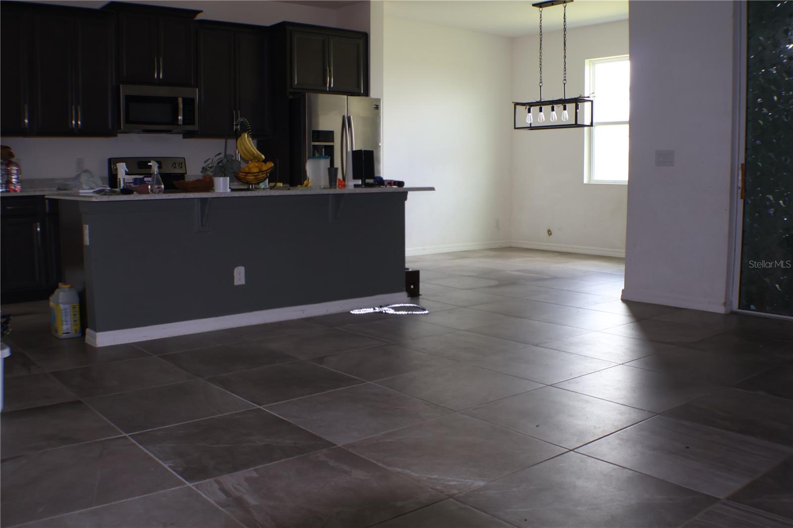 453 IRONSIDE TRAIL DR, GROVELAND, FL, 34736