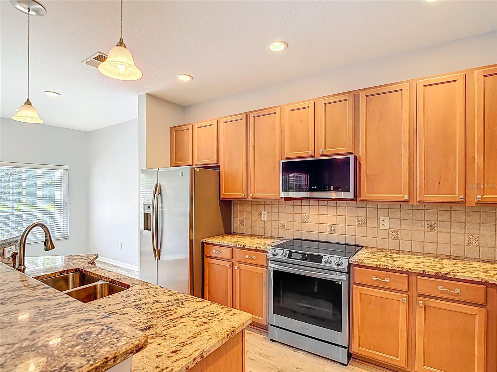 3238 SAGO POINT CT, LAND O LAKES, FL, 34639