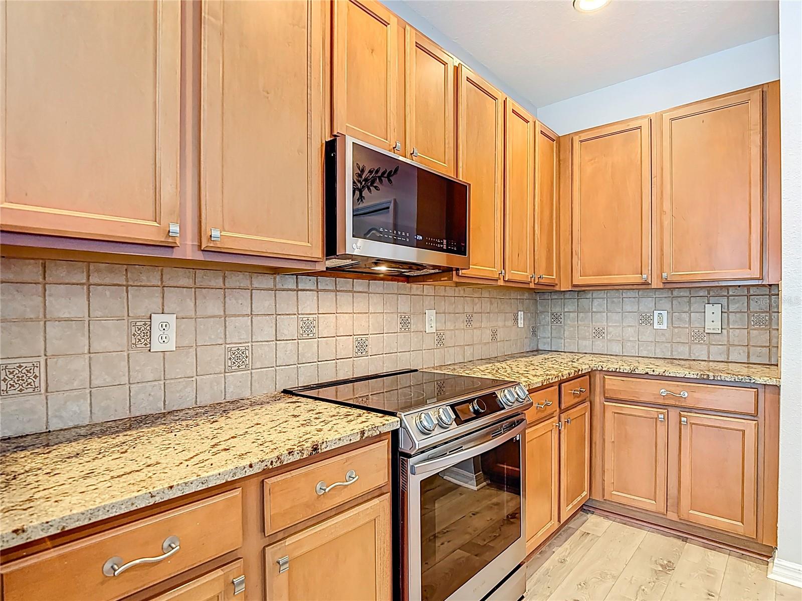 3238 SAGO POINT CT, LAND O LAKES, FL, 34639